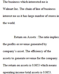 Unit 4 Assignment Finance and Operations